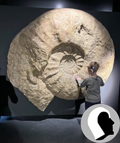 Adam1, Einsendung Kasia